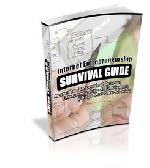 Internet Entrepreneurship Survival Guide with Plr