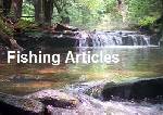 50 PLR Articles for the Fishing Niche ...