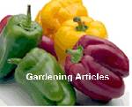 25 PLR Articles for the Gardening Niche ...