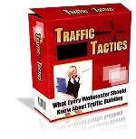 What Every Webmaster Should Know About Traffic Building