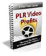 PLR Video Profits