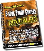 E-Book Profit Centers