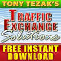 Traffic Exchange Solutions