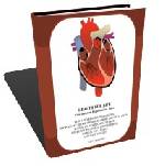 Health For Life - Cure Diabetes, Hypertension and More